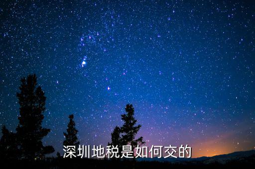 深圳市國家稅務局如何交稅，深圳市公司網(wǎng)上報國稅要這么操作啊
