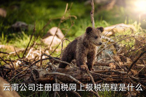 如何進入云南網(wǎng)上稅務申報系統(tǒng)，如何進行網(wǎng)上稅務申報