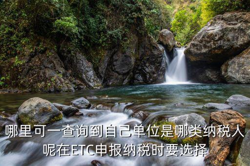 如何查納稅人性質(zhì)，哪里可一查詢到自己單位是哪類納稅人呢在ETC申報納稅時要選擇