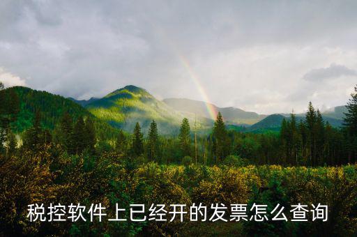 稅控軟件上已經開的發(fā)票怎么查詢