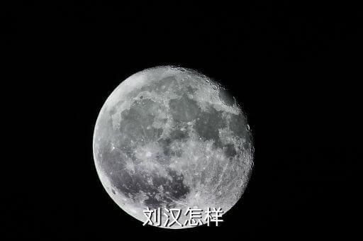 劉漢資產(chǎn)怎么處理,劉漢，四川漢龍集團(tuán)原董事長