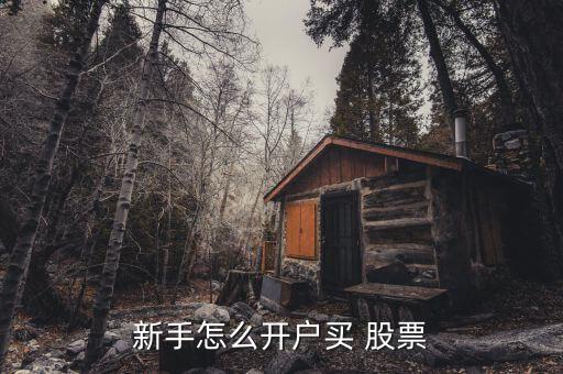 怎么開(kāi)通股票,新加坡股民如何開(kāi)戶(hù)股票?
