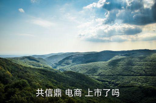 電商怎么上市,南極電商在納斯達(dá)克上市騰訊、慧聰網(wǎng)香港上市