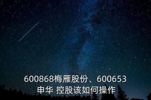 600868梅雁股份、600653 申華 控股該如何操作