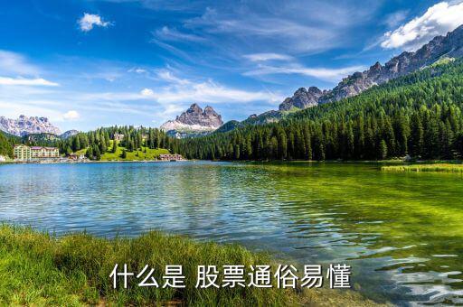 怎么懂股票,股票基礎(chǔ)、股票定投、投資書籍等資源免費(fèi)下載