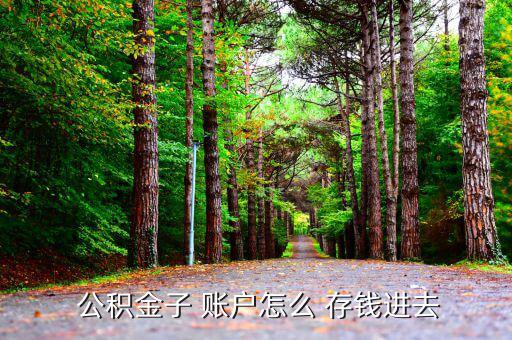 怎么向公積金賬戶存錢(qián),職員住房公積金-2/過(guò)戶或封存手續(xù)