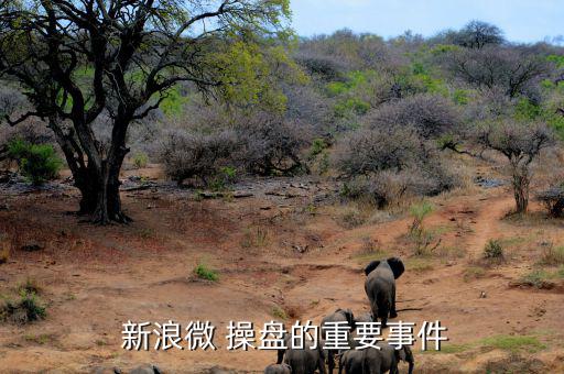  新浪微 操盤(pán)的重要事件