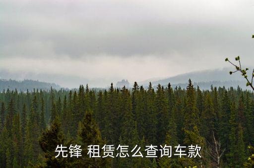  先鋒 租賃怎么查詢(xún)車(chē)款