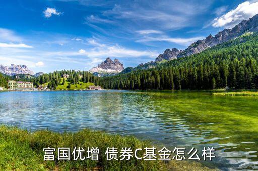 嘉實債券怎么樣,短債基金包括諾安債券、友邦短債、嘉實超短債
