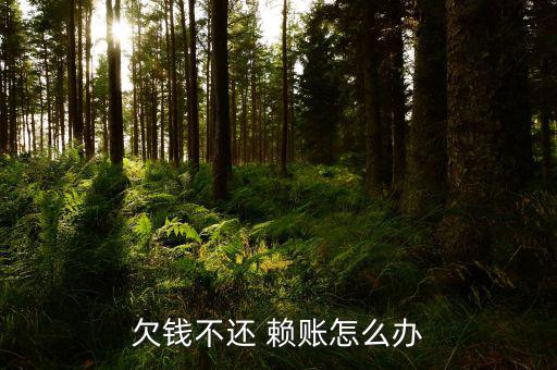 銀行賴賬怎么辦,民事起訴狀:被告姓名性別、年齡、職業(yè)等