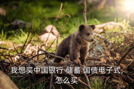 我想買(mǎi)中國(guó)銀行 儲(chǔ)蓄 國(guó)債電子式,怎么買(mǎi)