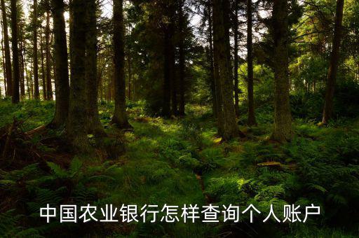 中國農(nóng)業(yè)銀行怎樣查詢個(gè)人賬戶