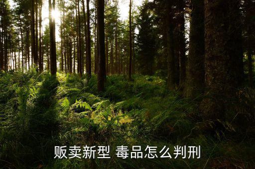 販賣(mài)新型 毒品怎么判刑