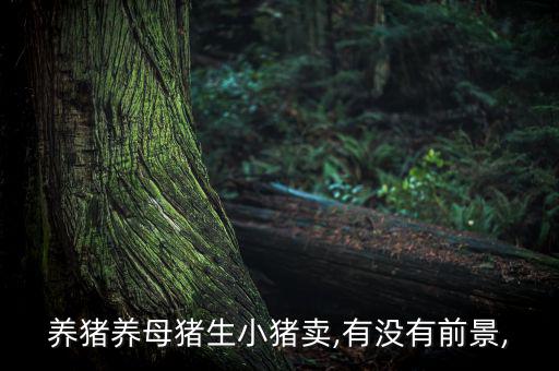 養(yǎng)豬養(yǎng)母豬生小豬賣(mài),有沒(méi)有前景,