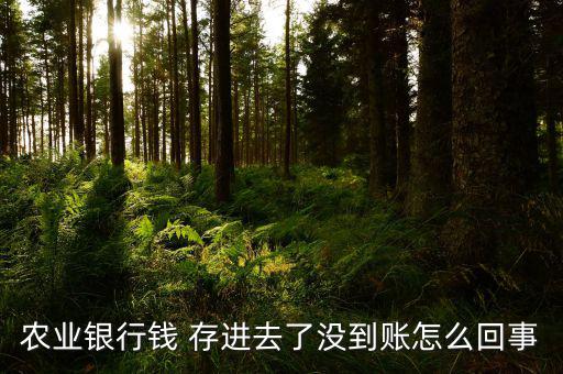 錢存進農行信用卡了怎么辦,如何在銀行卡存錢和取錢?