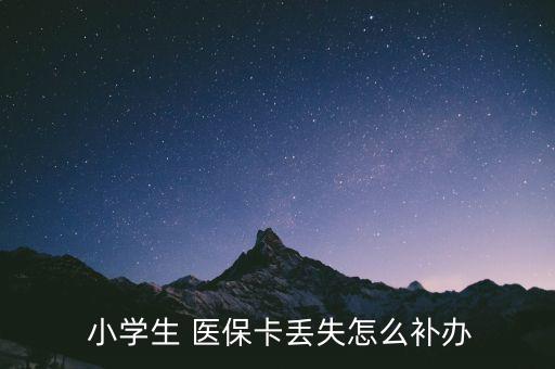  小學(xué)生 醫(yī)?？▉G失怎么補辦