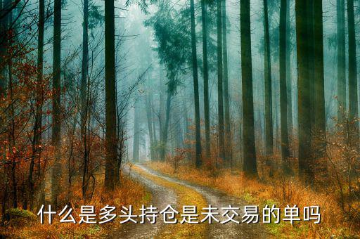 什么是多空持倉(cāng)，請(qǐng)問(wèn)多單持倉(cāng)和空單持倉(cāng)是什么意識(shí)呀