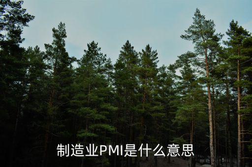 什么是pmi，制造業(yè)PMI是什么意思