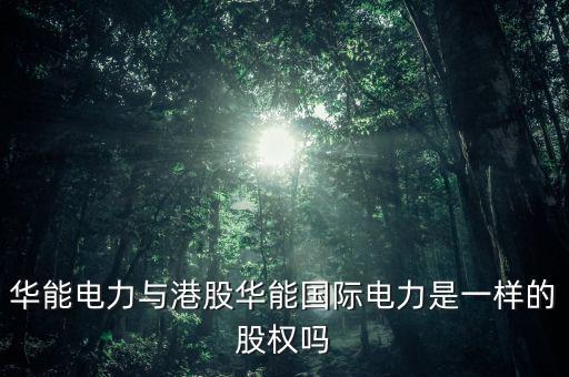 華能電力與港股華能?chē)?guó)際電力是一樣的股權(quán)嗎