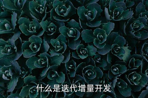 什么是增量發(fā)展，物理意義上的增量是什么意思