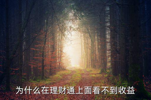 投資60元理財(cái)通為什么沒(méi)收益，為什么在理財(cái)通上面看不到收益
