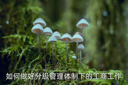 什么是分層分級管理，如何做好分級管理體制下的工商工作