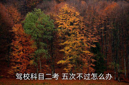 駕?？颇慷?五次不過(guò)怎么辦
