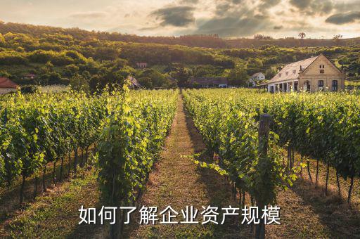 資產(chǎn)規(guī)模是什么，如何計算企業(yè)資產(chǎn)規(guī)模