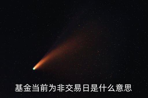 非交易日是什么意思，轉(zhuǎn)換景順貨幣A基金顯示非交易時間是什么意思