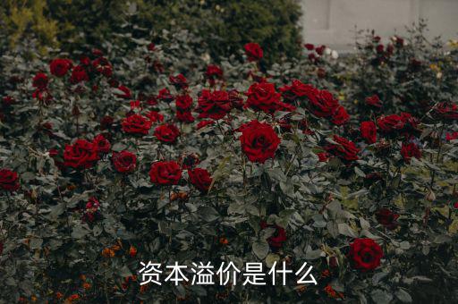 什么是溢價，什么是資本溢價