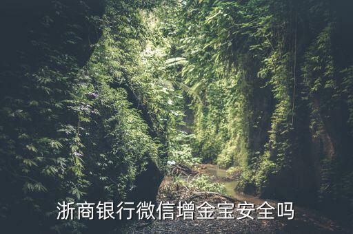 浙商銀行增金寶什么情況，浙商銀行增金寶安全嗎