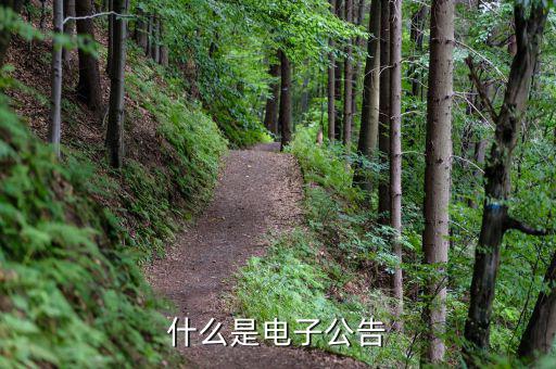 什么是電子公告，什么叫電子公告