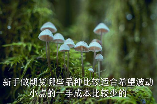 兩萬能做期貨什么品種，我用兩萬做商品期貨