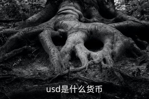 usd什么貨幣，什么是USD