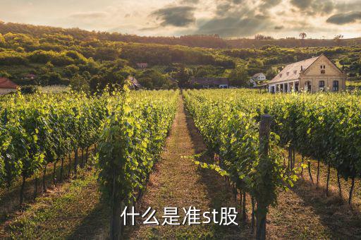準(zhǔn)st股什么意思，什么是準(zhǔn)st股