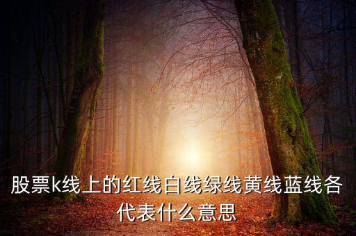 地圖綠線紅線代表什么，手機百度地圖路線中有紅色綠色藍色等不同的顏色代表什么