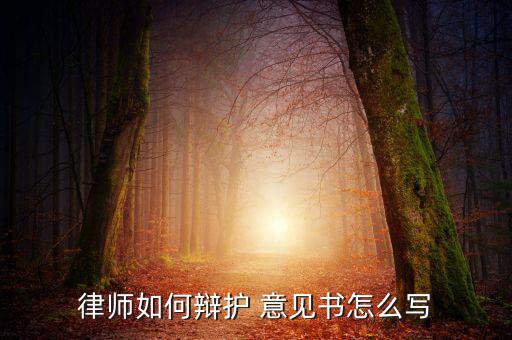 律師如何辯護(hù) 意見(jiàn)書怎么寫