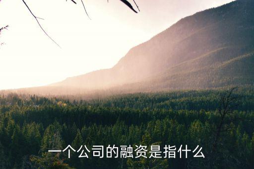 什么叫融資，一個(gè)公司的融資是指什么