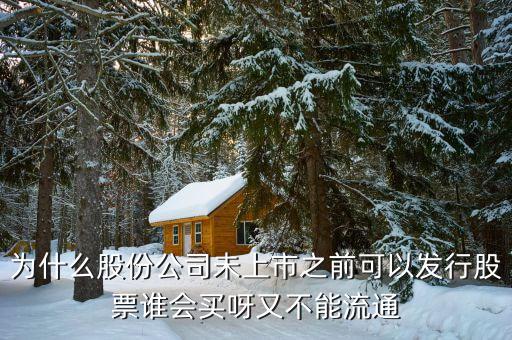 為什么發(fā)行股票就有人買，股票到底是什么為什么有那么多人買