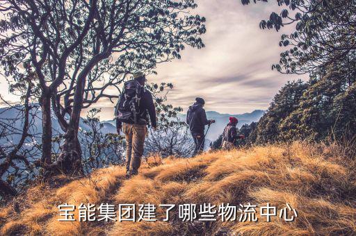 寶能是什么公司，深圳寶能集團的業(yè)務范圍包括哪些