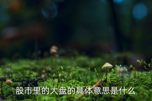 股票中大盤是什么意思，股市里的大盤的具體意思是什么
