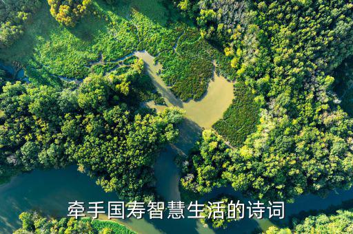 牽手國壽成就未來什么意思，國壽是什么意思