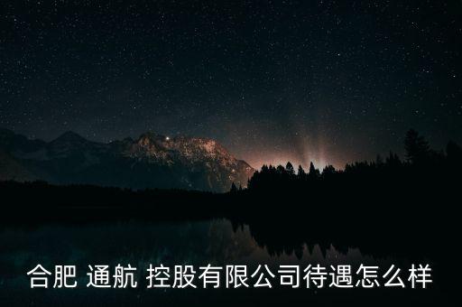 通航控股怎么樣,幸?？毓墒侵袊娇展I(yè)集團(tuán)公司子公司