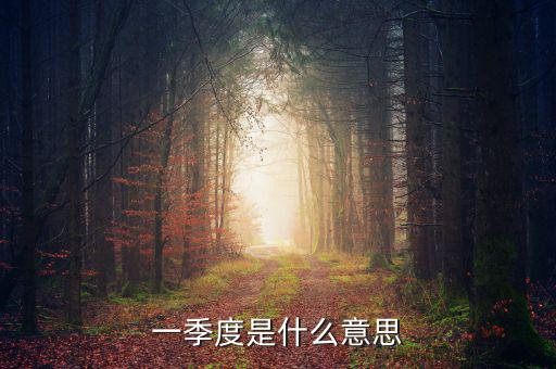每一季度是什么意思，每季度什么意思