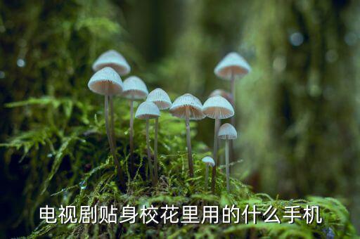 電視劇貼身?；ɡ镉玫氖裁词謾C(jī)