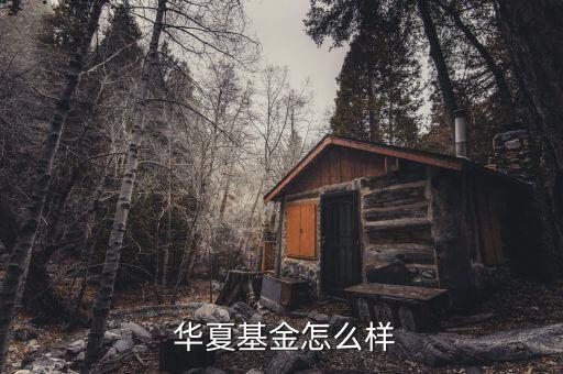 華夏成長定投怎么樣,管理層望提高上市公司回報(bào)率增加投資價值