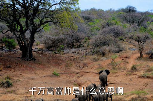 千萬身家是什么概念，千萬高富帥是什么意思啊