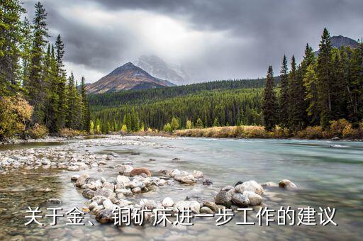 關(guān)于金、 銅礦床進(jìn)一步工作的建議