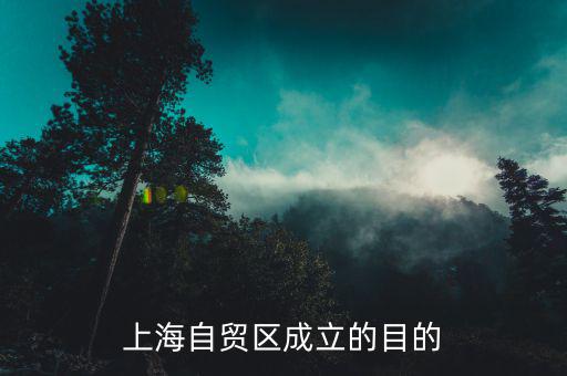 為什么建立上海自貿區(qū)，上海自貿區(qū)成立的目的