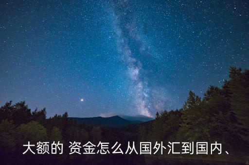  大額的 資金怎么從國(guó)外匯到國(guó)內(nèi)、